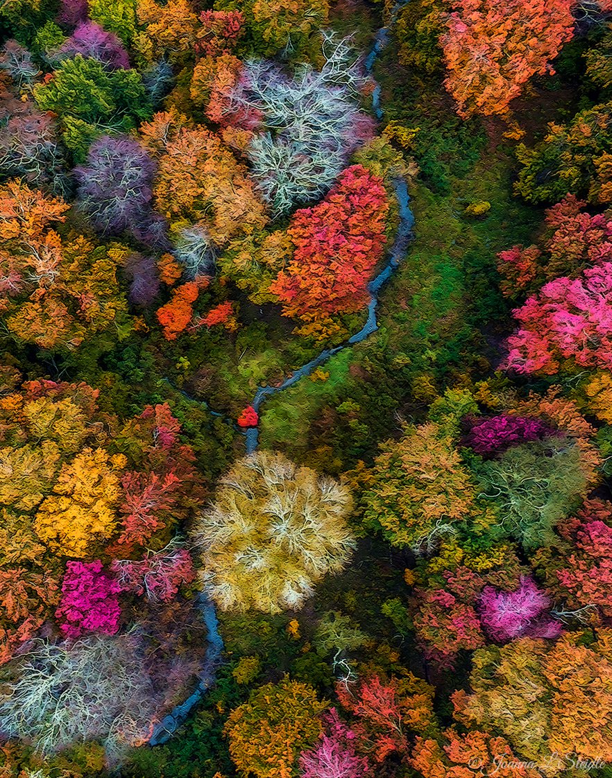 Posting some fall colors while we still can before winter sets in 🚁🍂

📸: <a href="/HamptonsDrone/">Joanna L Steidle</a>, Mavic 2 Zoom #POTD