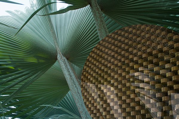 Rincón Projects tweet media