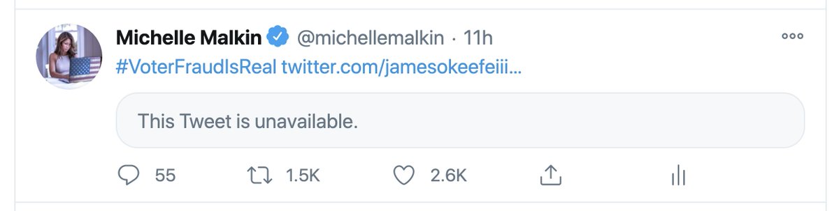 Michelle Malkin tweet media