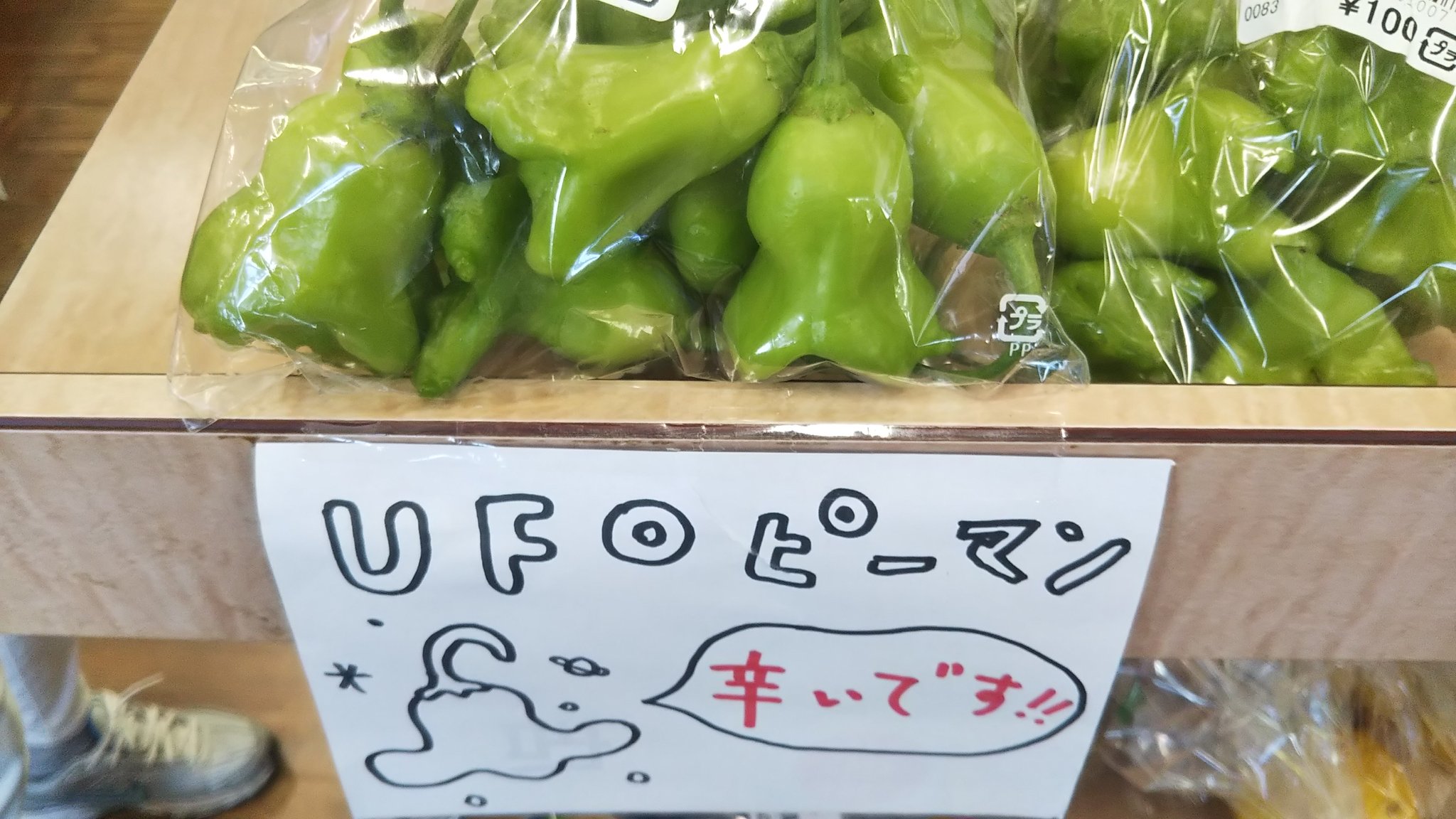 妙義山麓 木村園芸 みょうぎ物産センターでufoピーマンを発見 なんとも楽しいピーマンですね きざまないで まるごと料理に添えたいな T Co P15igwgzon Twitter