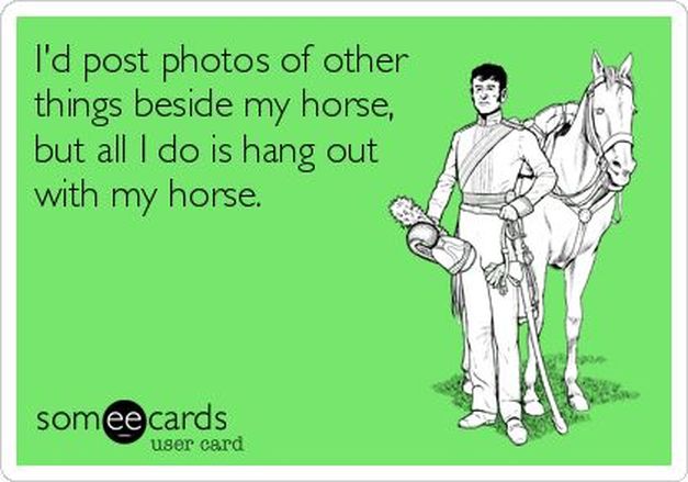 CarlyKadeAuthor's tweet photo. I'm not embarrassed that 99.9% of the photos on my phone are of my horse and dogs. How about you? 🤣 https://t.co/FJesmynZxe
