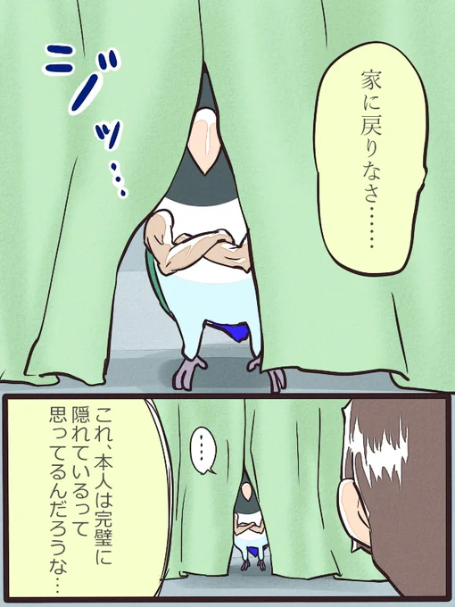 おはようございます!
お布団から出たくない季節の到来。 