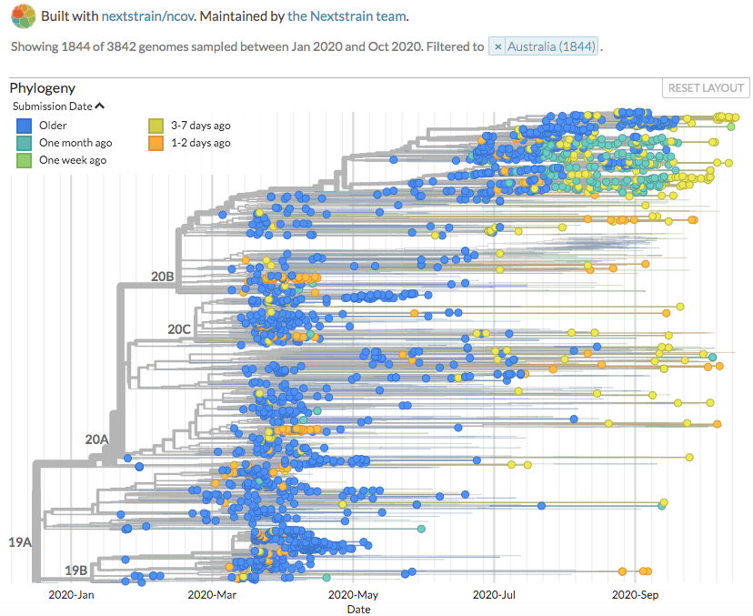 nextstrain's tweet photo. @GISAID @nvrlucdireland @svuh @KKMPutrajaya @MOH_PR @mohenglish3 @LauringLab @LosAlamosNatLab @NIAIDNews @seattleflustudy @UWVirology @UW New sequences from Australia (212) can be seen on https://t.co/ToVoJO0Gkb.
(Thanks to #PathWest Laboratory Medicine @WAHealth)
4/4 https://t.co/tOfMuZFPWL