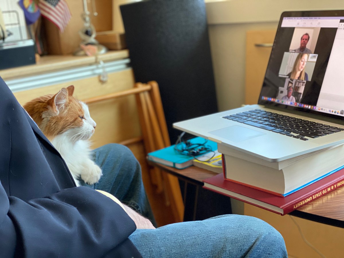Izzy was excited to be able to attend a virtual GSA Penrose Circle event, with talks by Doug Walker &amp; Tom Holzer, and seeing the new people <a href="/ChrisGMaples/">Christopher G Maples</a> gets to work with. This virtual meeting thing has an upside if you are a cat! #PetsofGSA #GSA2020