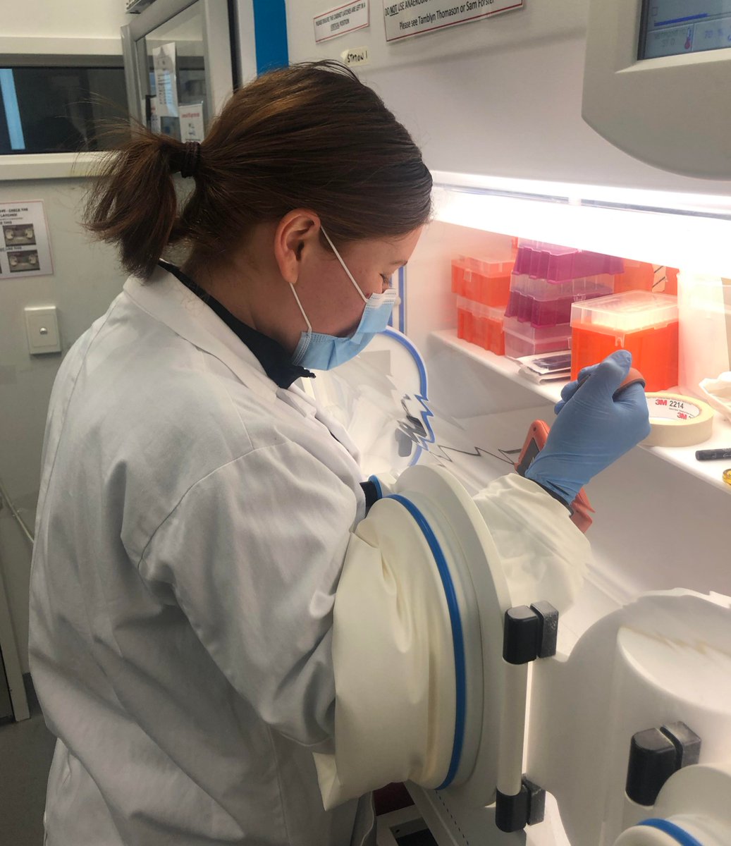 Forster Lab (@forster_lab) on Twitter photo Marina joined our lab in 2019 for an undergraduate semester project. Today she submitted Honours thesis; investigating the phenotypic capacity of the #microbiome. Congratulations!
<a href="/CiiiD_Hudson/">CiiiD Hudson</a> Marina joined our lab in 2019 for an undergraduate semester project. Today she submitted Honours thesis; investigating the phenotypic capacity of the #microbiome. Congratulations!
<a href="/CiiiD_Hudson/">CiiiD Hudson</a>