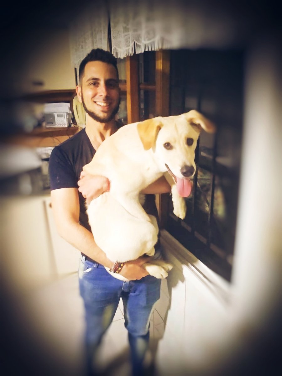 Sebastián Potap tweet media