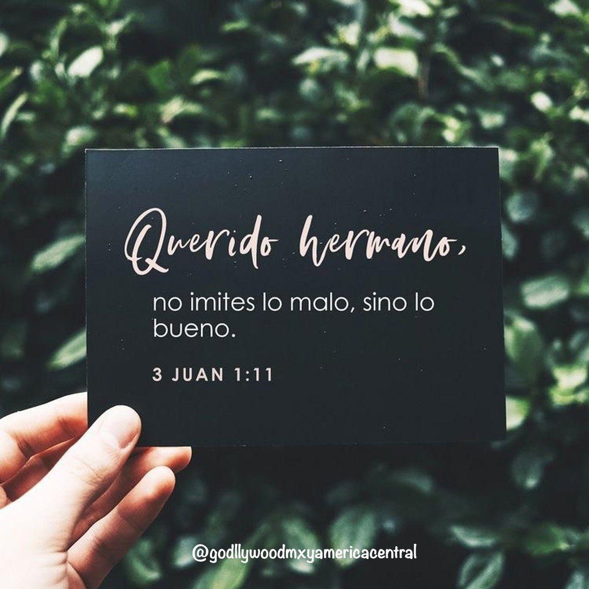 UnivMx's tweet photo. #Godllywood #ImiteLoBueno #Versículo #Acción #MujerDeDios #EnlaFe
#Repost https://t.co/U8Q2ksSX7c