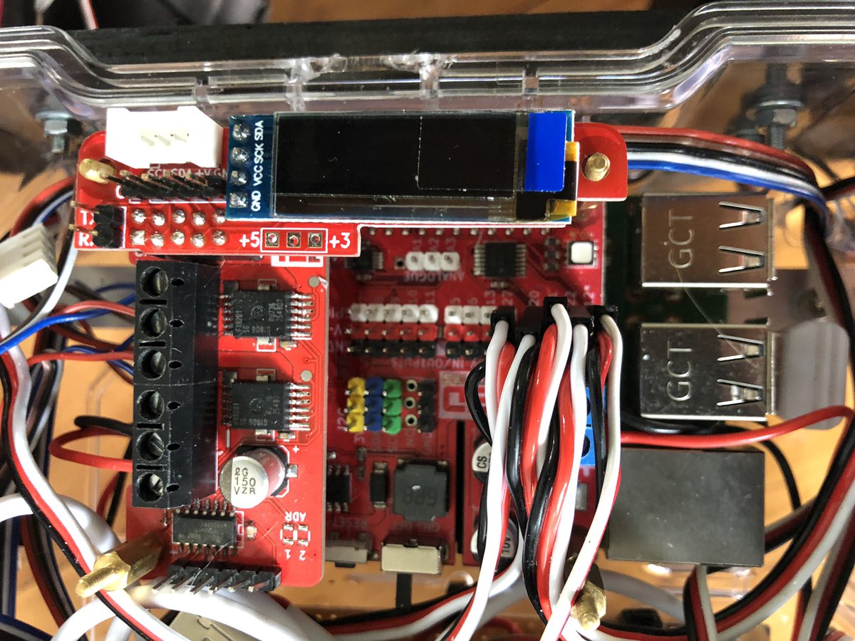 Elliot Pittam tweet media