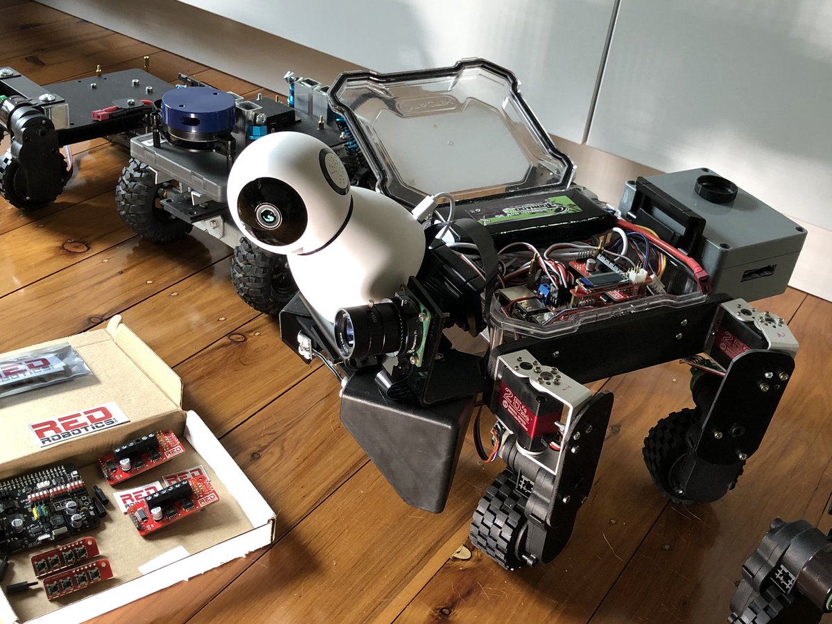 Elliot Pittam tweet media