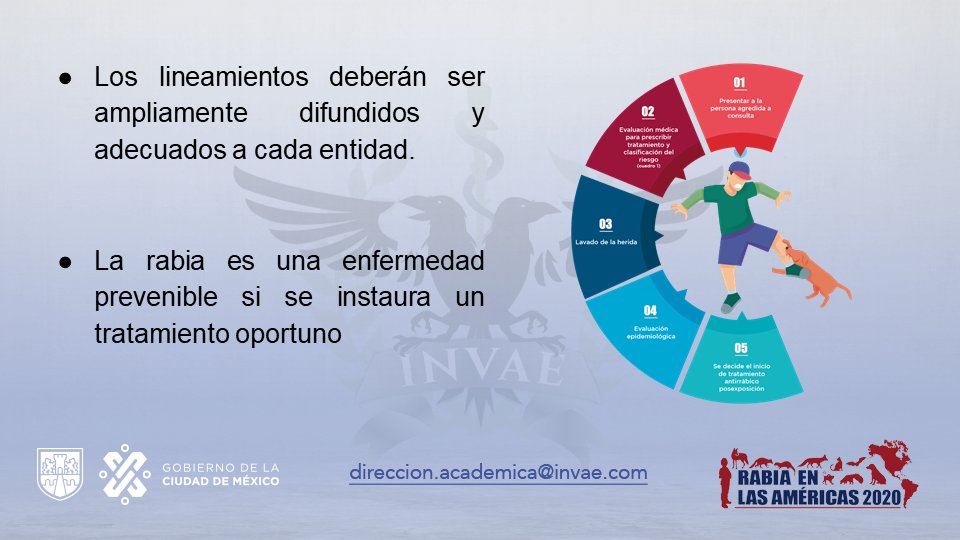 DRJMANUEL's tweet photo. PP070 Description of the medical and anti‐rabies care of the person attacked by a dog, cat or other mammal.

Breve acercamiento a la evaluación y profilaxis antirrábica a los pacientes agredidos.

@RabiesIn #RITA2020 #RITA2020canine #RITA2020human https://t.co/1DENJg21AX