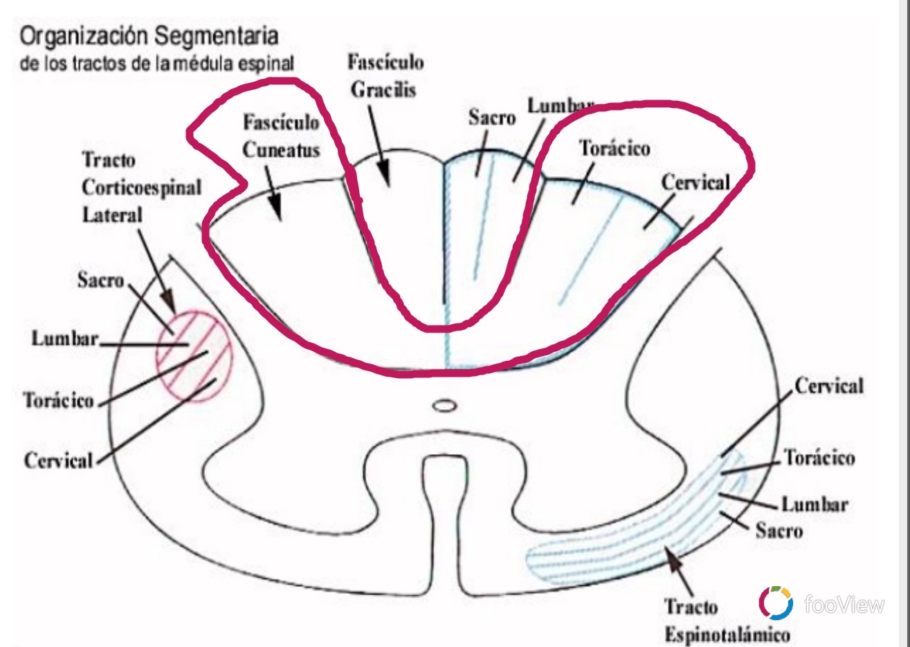 Doctor de humanos on Twitter 