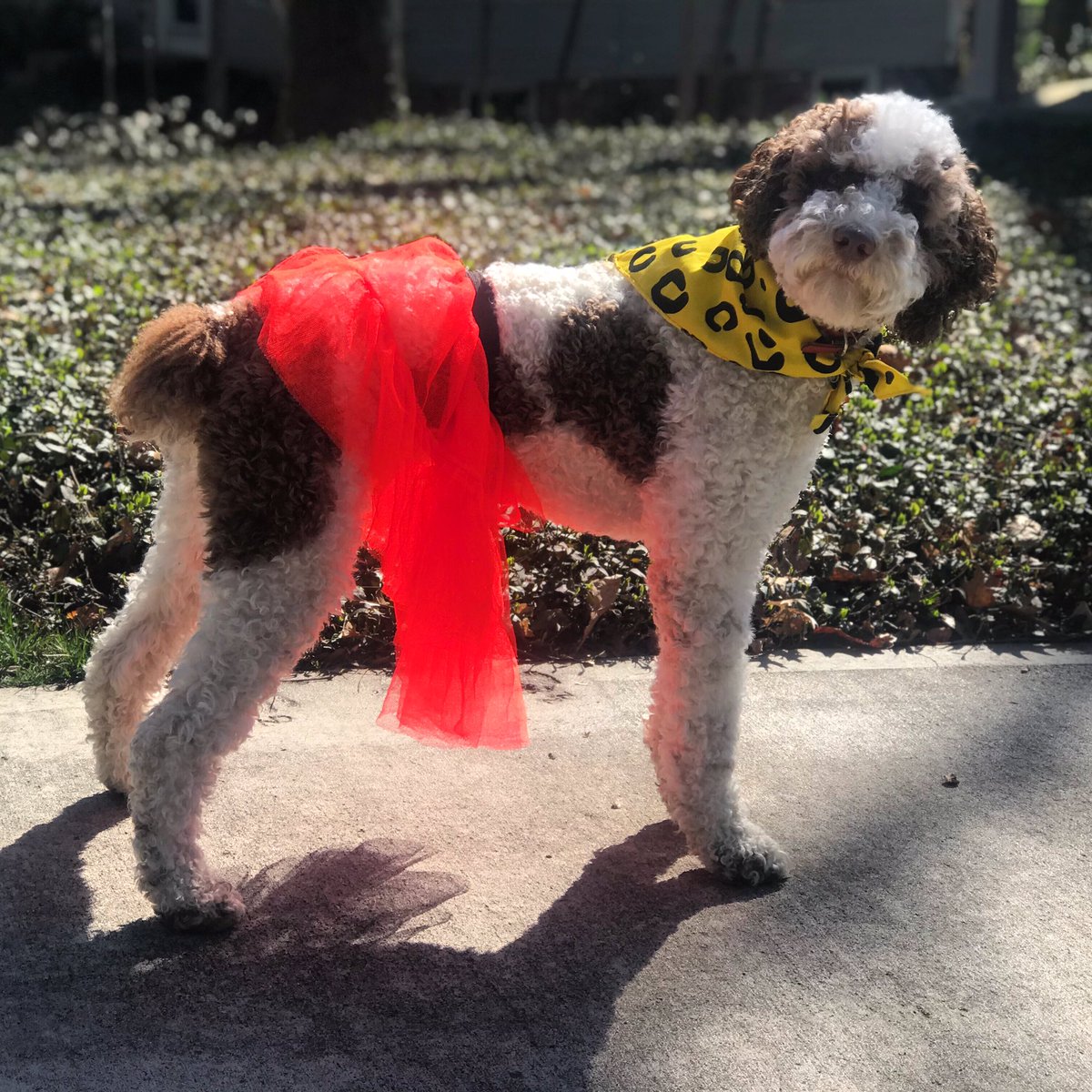 Neon Day Thursday! Red Ribbon Week 2020!