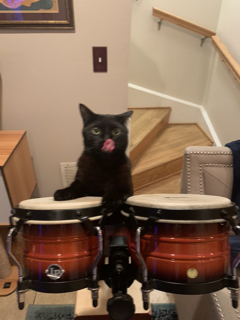 il padrino tweet media