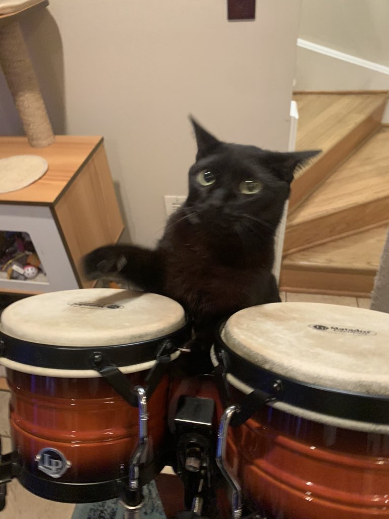 il padrino tweet media