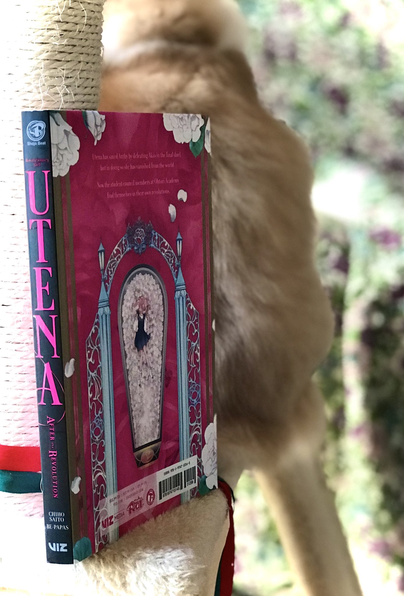 さいとう ちほ Chiho Saito アメリカ版ウテナの献本が来ました 綺麗 Revolutionary Girl Utena After The Revolution 少女革命ウテナ T Co Thz7rughpa Twitter