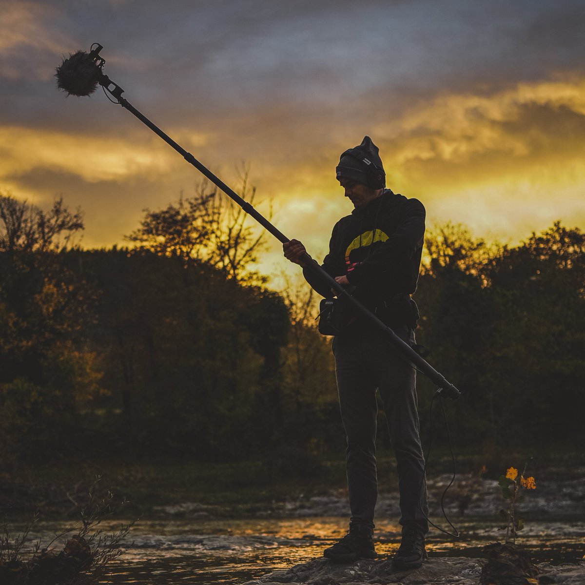 freetousesounds's tweet image. Does a field recordist really need a boom pole? Tomorrow we have a new video coming up and I will share with you my thoughts about it. :) 
#fieldrecording #boomoperator #fieldrecordist