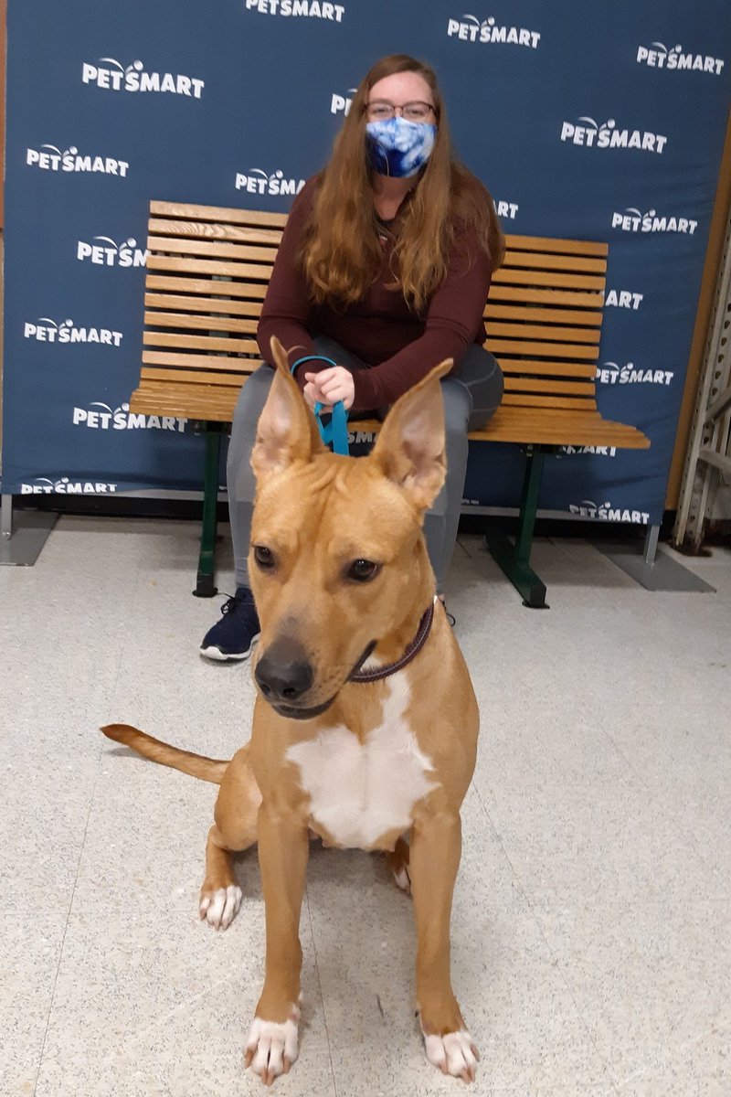 fwacc petsmart alliance adoption center