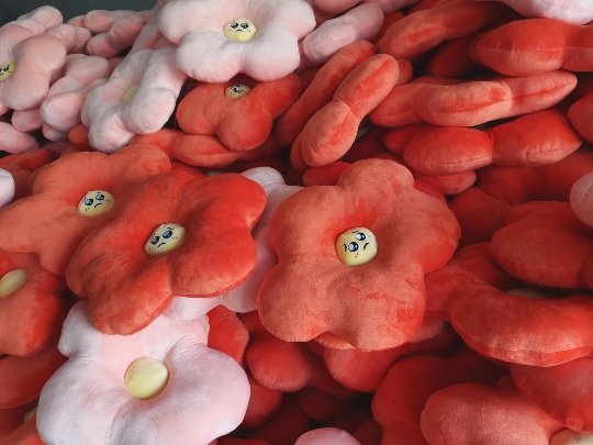 curiousaboutuco's tweet photo. Lots of hobi pillows on the way to me now, thank you guys for waiting!! (theres so many hahaha) https://t.co/bT9tpuFmy0