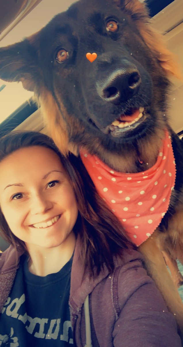 MuddiePawzT's tweet photo. We wanna help promote Ma’s lil business from home because she can’t work in public currently. Please go check out our fb! We post cute pics daily 🧡 We love Ma &amp; love helping her with the boxes for your furrends too 🐾😊 #dogsoftwitter #SmallBusiness https://t.co/icdb5AqQMZ