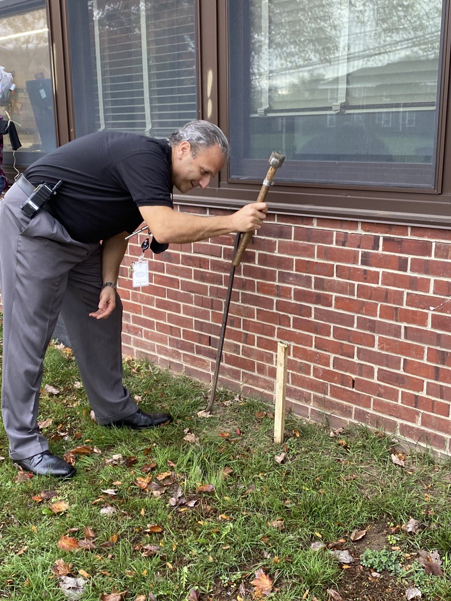 Mrs. Bornschein tweet media