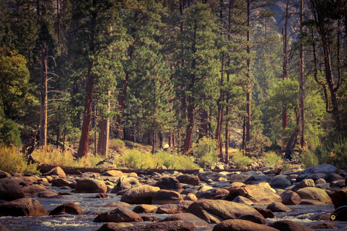 tedfletcher's tweet photo. Water & trees. Life's essentials . . .
#teamcanon #nature #landscape #travel #visitcalifornia #sequoianationalpark #travelchannel #outdoormagazine #sunsetmagazine #getoutdoors #gethigher #cedargrove #roadsend #kingscanyon #kingsriver https://t.co/q3kp76RVtF