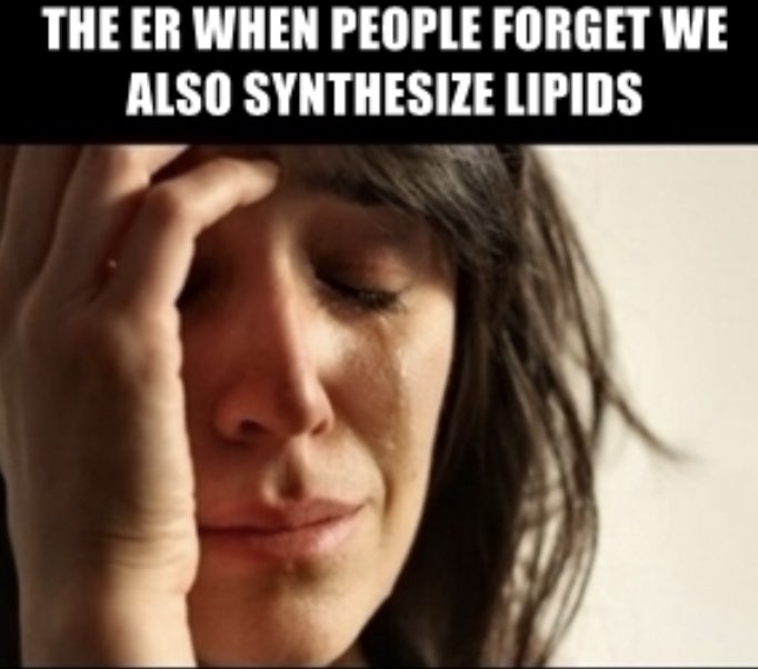theendoplastics's tweet photo. so disappointing @SICPLum https://t.co/WoxokRf95g