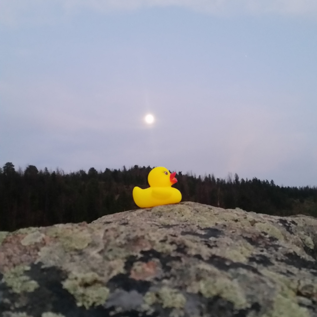 You're bigger than the moon. That mountain? Just a rock. Any challenges you're facing: all a matter of perspective. Tag us in your best full moon photo, and we'll send you a coupon for a discounted float, to help you find your perspective. #peppertheduck #floattank #santacruz