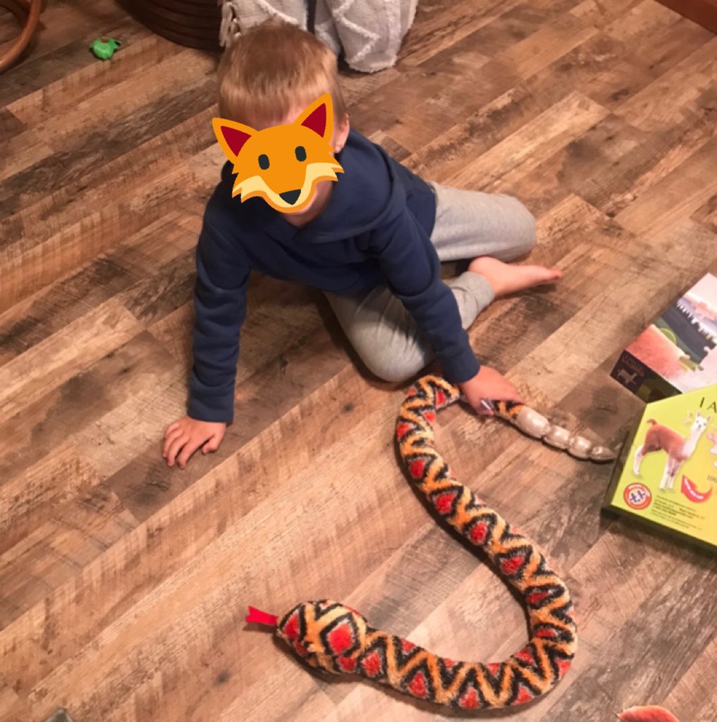 Could not be any more proud of this kindergarten rockstar - check him out building my favorite letter with his favorite pet 🐍 He even asked his family to share his work through <a href="/Seesaw/">Seesaw</a>! 😍☺️ #WeBelieveinBRE