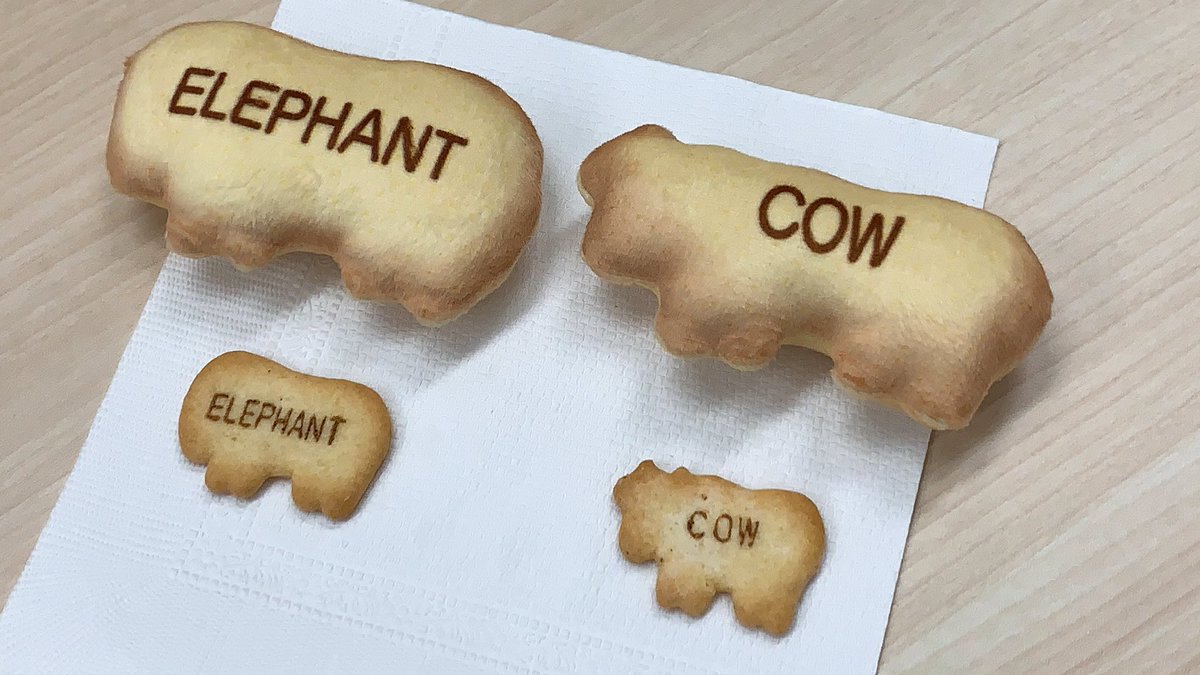 モーリーファンタジー 公式 たべっ子どうぶつパッケージクッション の中に入ってるビスケットのマスコットと ビスケットを比べてみました お腹減りました