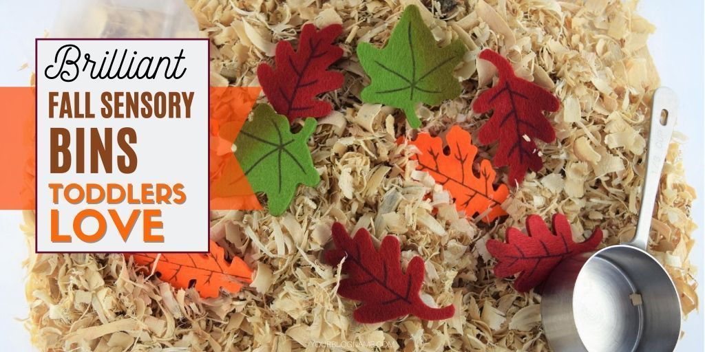 DougMDSueRN's tweet photo. 👉Insanely easy to make fall sensory bins for toddlers and preschoolers.
https://t.co/Ze8IKQyexm
#toddlers #preschool #homeschool
#homeschooling #homeschoolfail https://t.co/gFEkcuPnQg