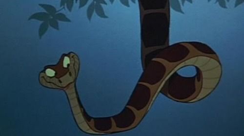 karalynn14's tweet photo. When Bennet said that Dale looks like the boa constrictor from Jungle Book during the roast...💀💀💀 #thebachelorette https://t.co/ZGZIOdejEE