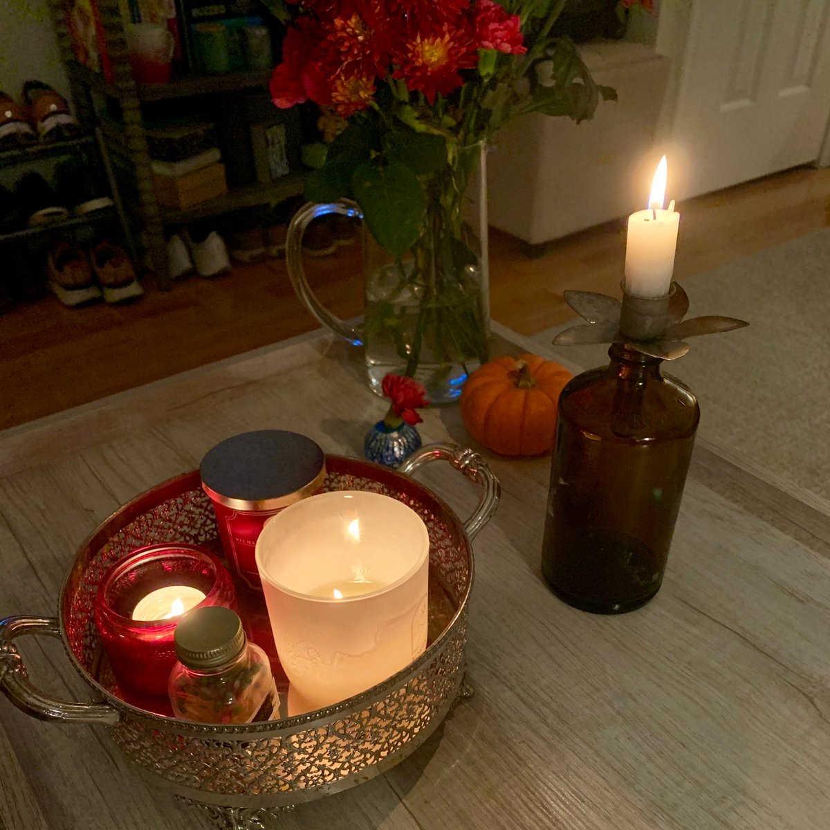 emma_museum's tweet photo. @shineslike taking your cue and using lots of "living light" as I do homework this evening (p.s. this image has alt text!) #MSTDTech https://t.co/LCwSzsIxXh