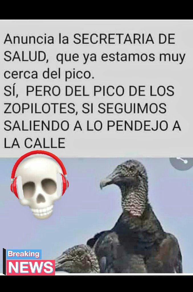 ArteMLucero's tweet photo. Mi gente bonita no pierdas la cabeza con està pandemia, no pasa nada si te cuidas y limitas tus saludas usa correctamente el cubre bocas, queremos verte conviviendo con familia y amigos otra vez, cuida tu salud 😘
 #Covid19 #covid #Pandemia #pandemic #Corona #coronavirus https://t.co/y3uWyV9rbs
