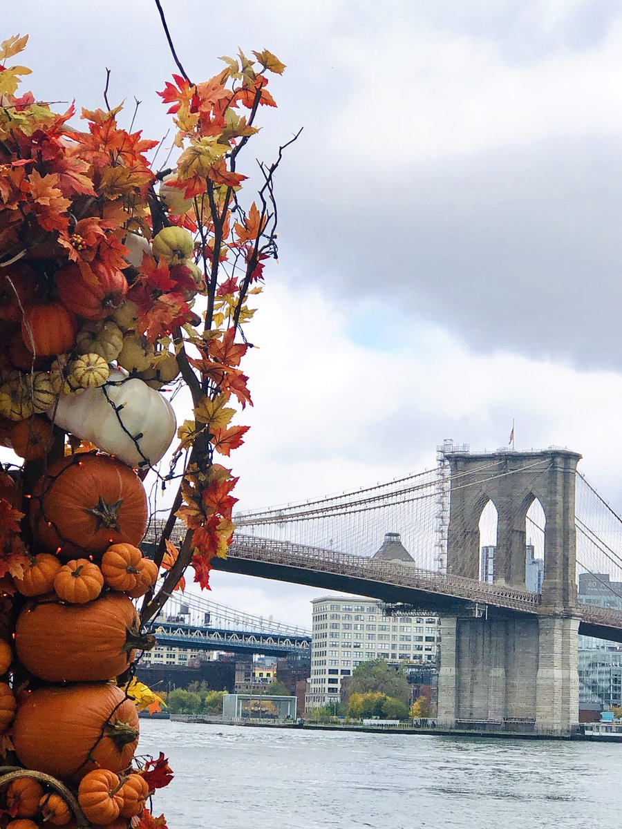 Pumpkin 🎃 arch @Pier17NY #southstreetseaport #Halloween #Halloween2020 #Autumnwatch #Autumn 🍁 #fall 🍂 #fallcolors #fallvibes #NYC #Manhattan #NewYorkTough #NewYork #VoteEarly #VoteThemOut #VoteHimOut2020 #VoteThemAllOut2020 #VOTE https://t.co/xR49eYu3Ji