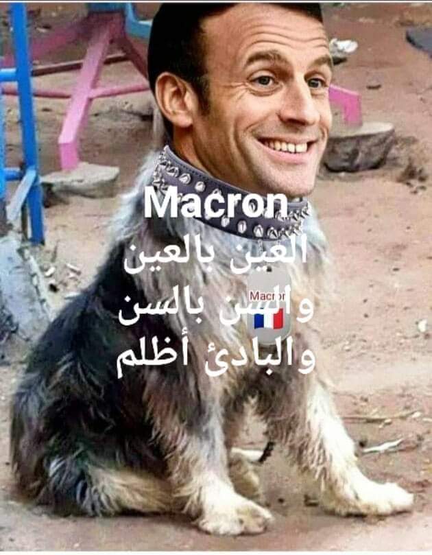 ALSAMMAKi's tweet photo. كلمة منك توجهها إلى هذا الكائن الغريب .. https://t.co/ebtYOxujni