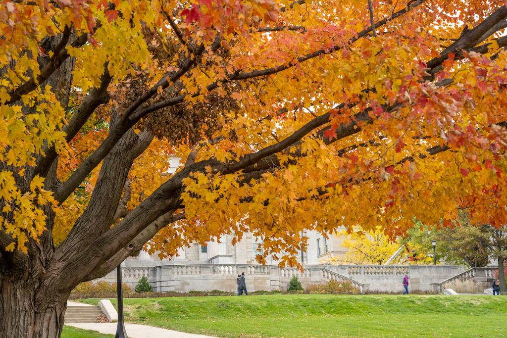 University of Iowa tweet media