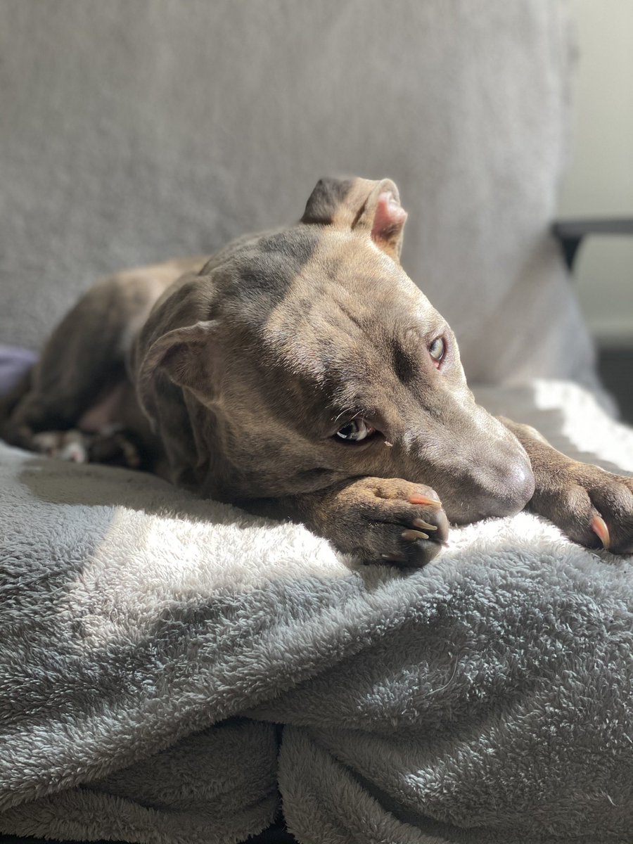 _QXINT's tweet image. The Toughest of boys 🖤