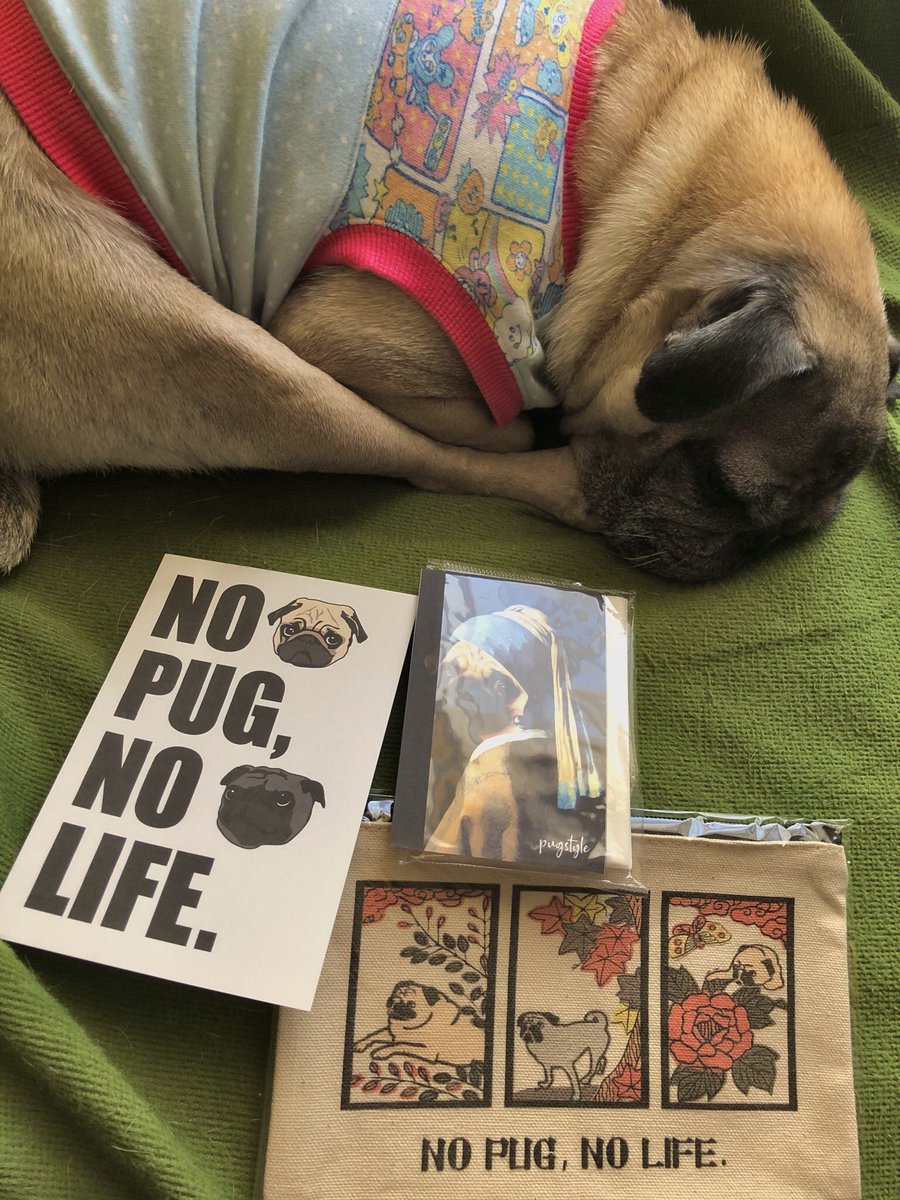 96ppe's tweet image. 花札パグ可愛いなぁ😍🎴
サービスのティッシュも😆❤️
#PUGSTYLE #パグスタイル
#WASSTYLE #ワズスタイル