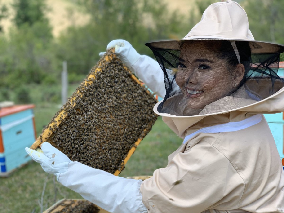 Нарагийнх нь "Мангир" нэрийн байгалийн олон цэцгийн зөгийн бал төв номын сангийн автобусны буудлын хажуугийг Central Park барилгын 1 дахварт Beauty Japan Mongolia дэлгүүрт маань борлуулагдаж байгаа шүү🍯

450гр савлагаатай 35.000₮