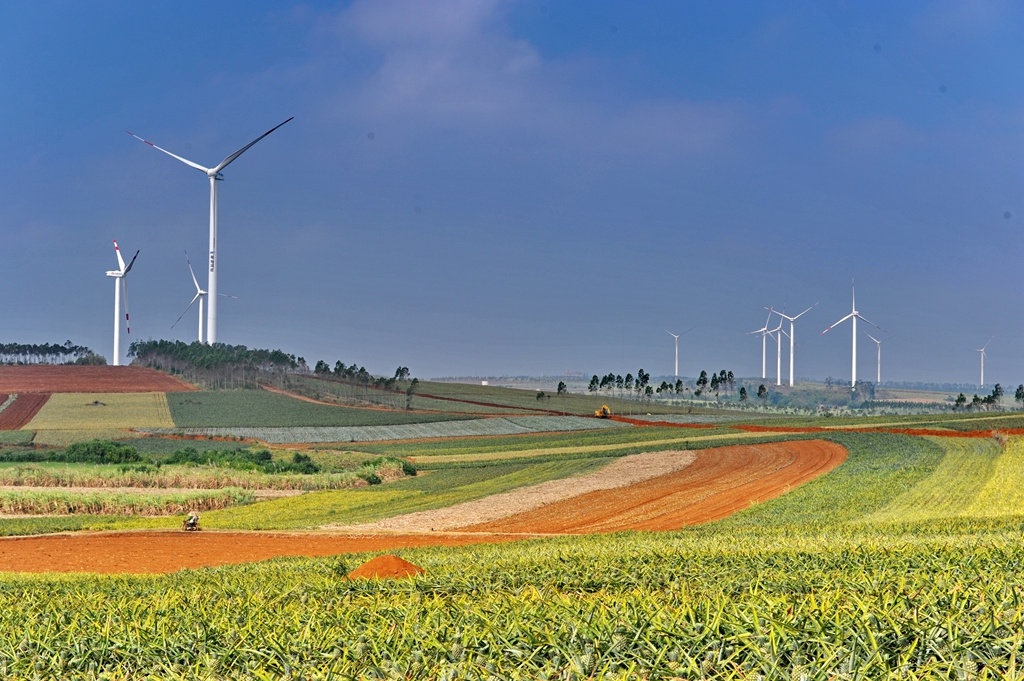 llegirAECLNET's tweet image. 天气好好