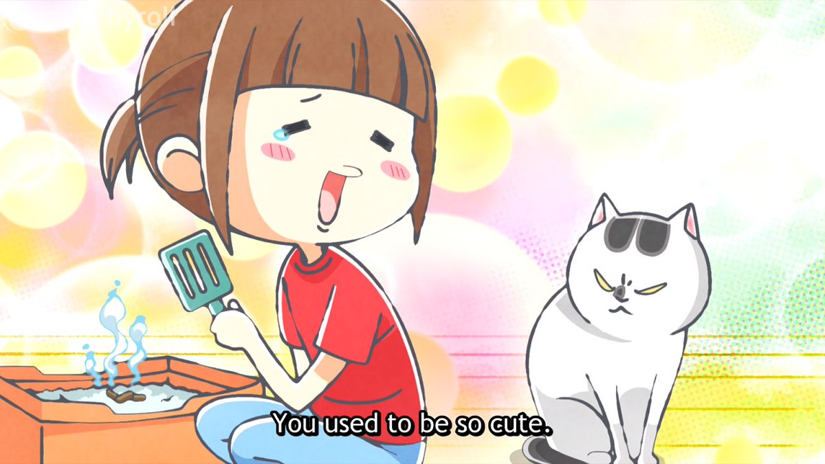 With a Dog AND a Cat, Every Day is Fun Will It Come Out Today? - Watch on  Crunchyroll