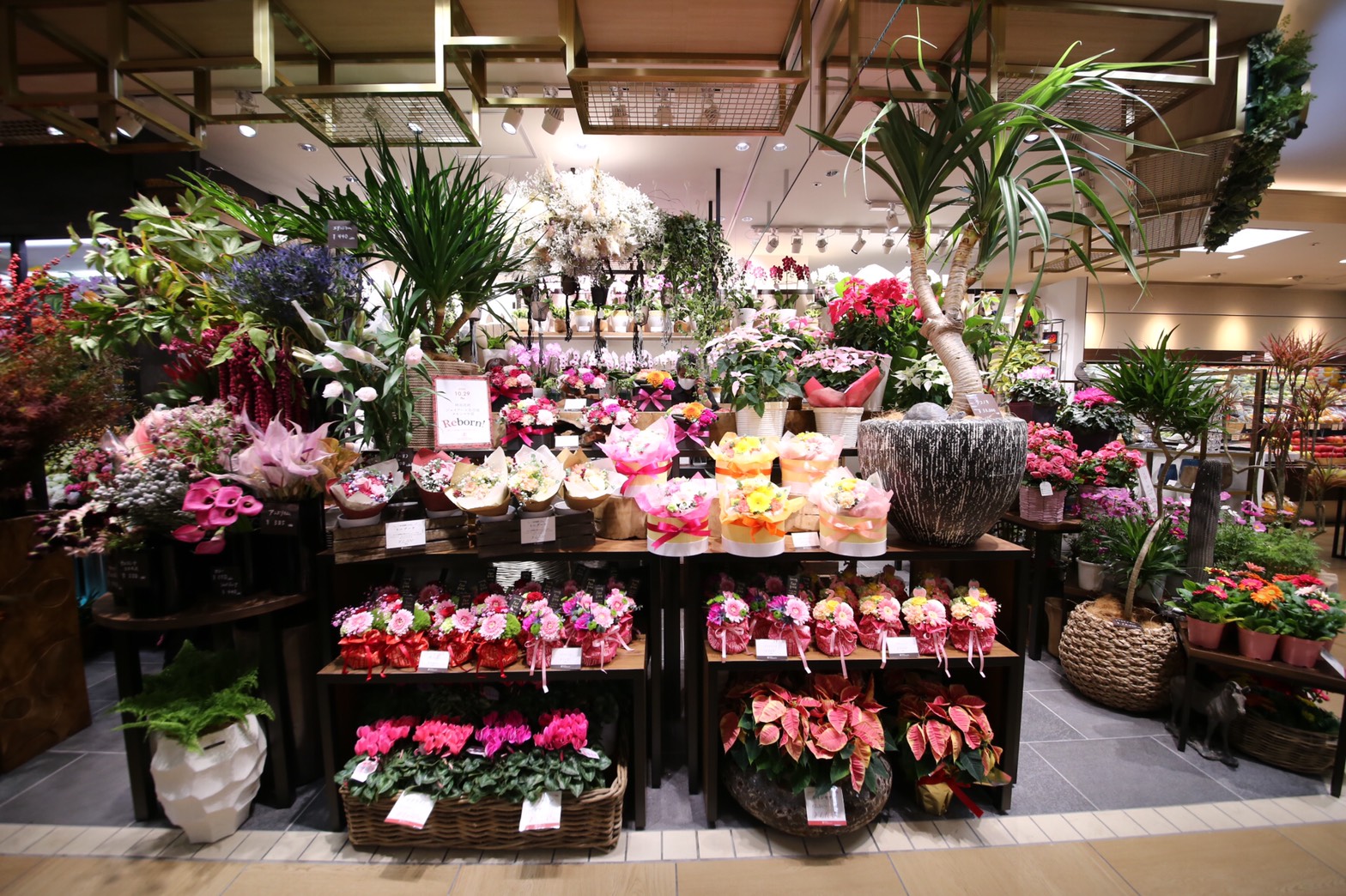 坪井花苑 本店 On Twitter 坪井花苑ジェイアール名古屋タカシマヤ店リニューアルオープンのお知らせ 2020 10 29 木 坪井花苑ジェイアール名古屋タカシマヤ店がb2にリニューアルオープンしました リニューアル記念として10 29 木 11 1 日 の４日間 毎日先着100名様