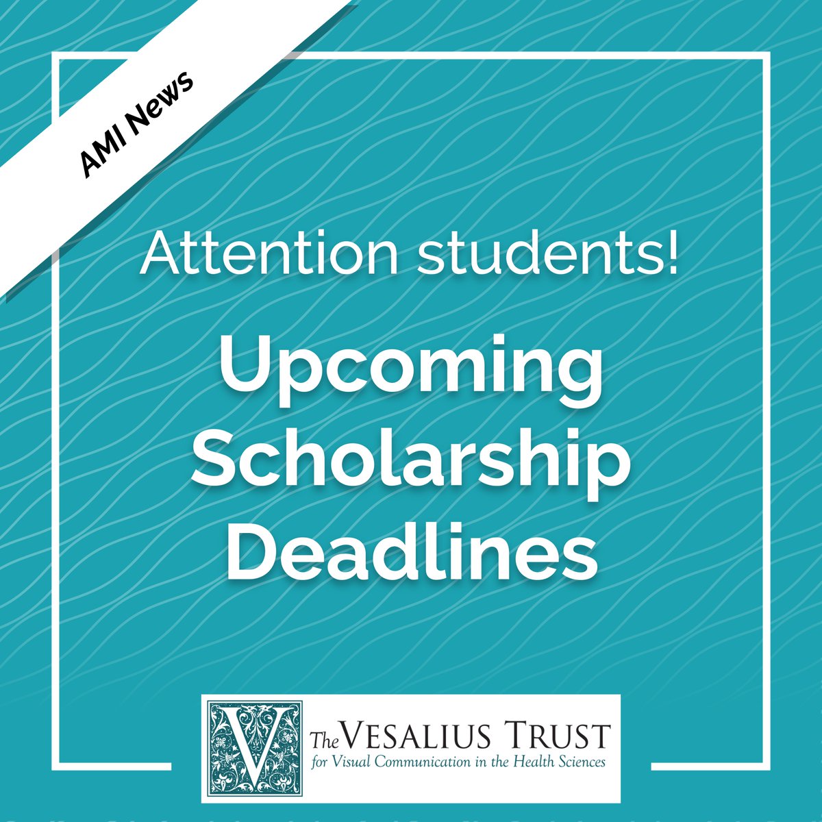 AMIdotorg's tweet photo. 📣 Attention students! 📣 The deadline to apply for @TrustVesalius scholarships is approaching! #medart #sciart #vesaliustrust https://t.co/WIJxgPEwgl