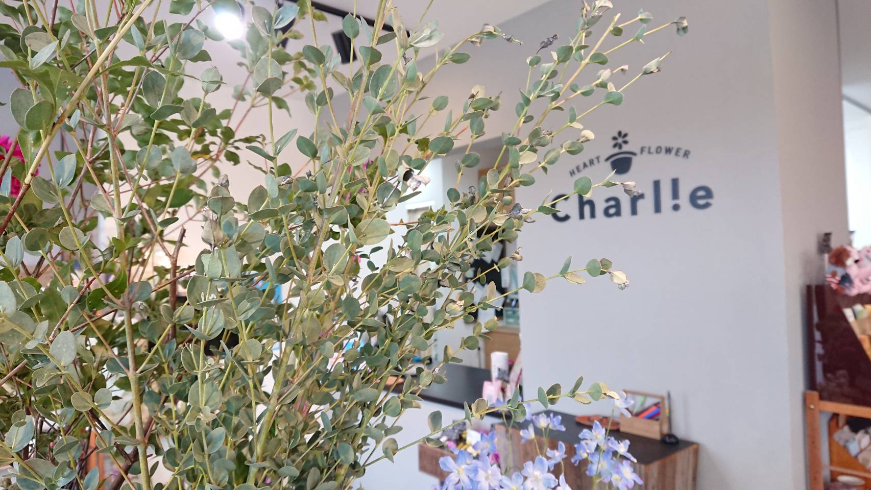 ハートフラワーチャーリー 北海道中標津町のお花屋さん 本日も元気に営業中です この季節はユーカリや枝物が人気ですね 中標津花屋 北海道花屋 T Co Am8hklecgc Twitter