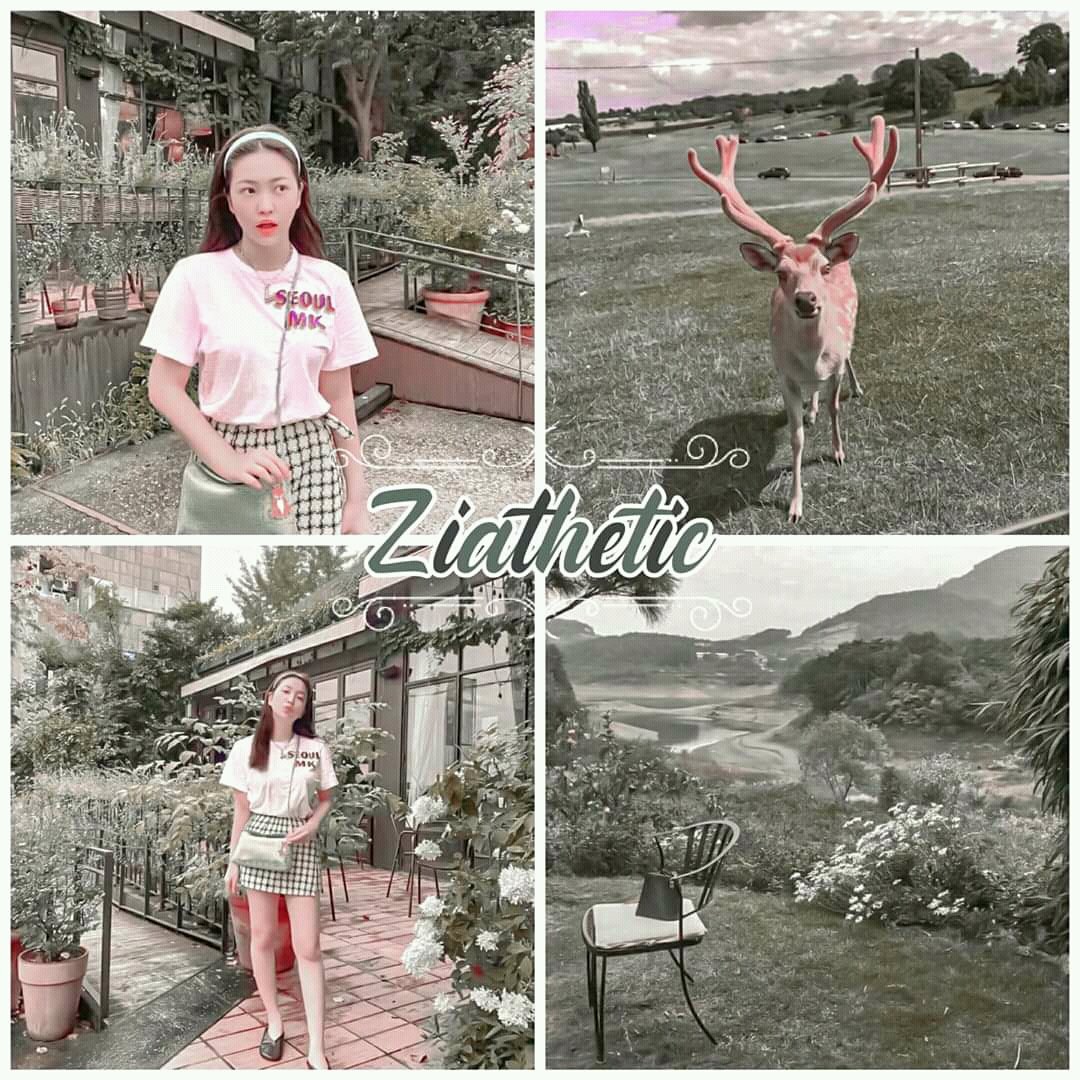ziathetic's tweet photo. https://t.co/imUyU1edsS