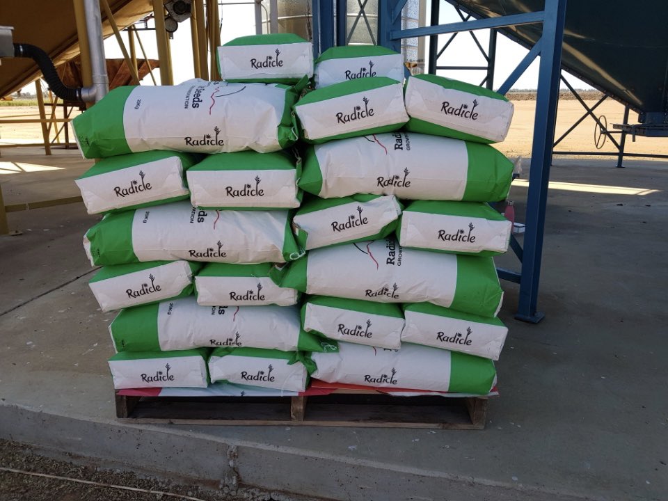 We have Agitator &amp; Brazen hybrid sorghum as well as BMR Corn in stock. #RegenFarming #RegenFarmingNews #australianagriculture #regenerativeagriculture #dairyfarmer #grainfarmer #sorghum