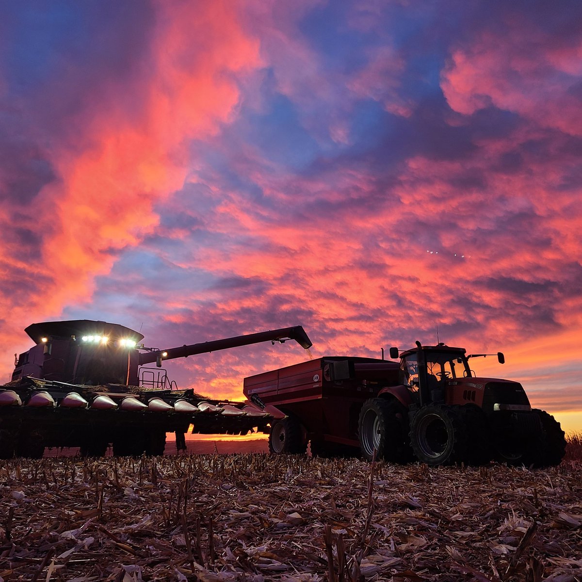 Unedited, no filter.... Just pure raw... One hell of a harvest sunset!