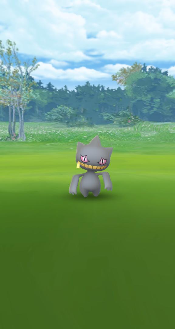 mumuhrid's tweet image. New gotcha you #Banette Shuppet Evolving #SableyeLitwick Sableye Halloween Edition #AlolanGrimer Grimer From Alola Region #PokemonGO #PokemonGOHalloween 💜😈🎃🕯🔥