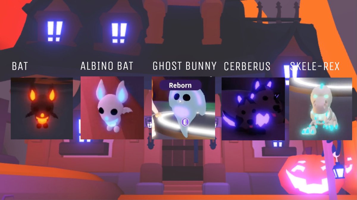 Dayjeeeplays On Twitter All Of The New Halloween Pets In Their Neon Form The Skele Though What A Beast They All Look Great Pic Courtesy Of Reinixr Https T Co Iggvaosawo - roblox adopt me ghost bunny worth