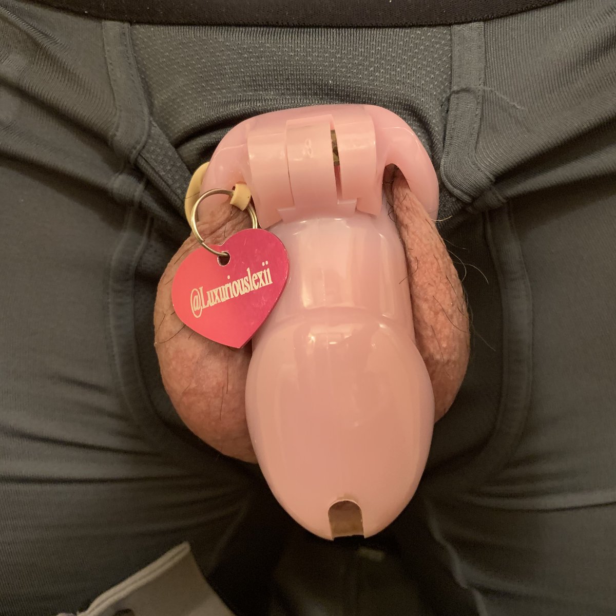 GooningShh's tweet photo. 4 weeks down! Locktober #Chastity #findom  #LockedbyLexi #locktober2020 @Luxuriouslexii https://t.co/ENRKzUwGf0